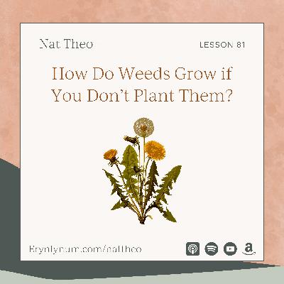How Do Weeds Grow if You Don’t Plant Them? Lesson 81