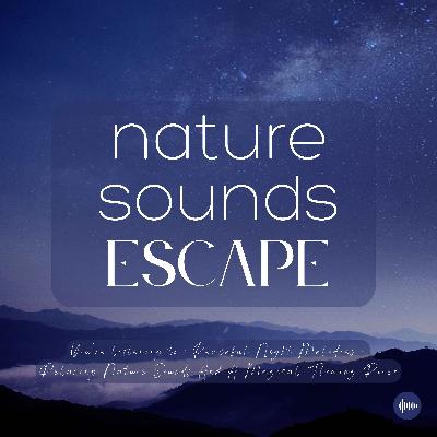Peaceful Night Melodies | Relaxing Nature Sounds With River Flowing & Night Sounds For Sleep, Meditation, Relaxation Or Focus | Sleep Sounds, Sleep Fast, Relaxing Music Of Nature, Singing Crickets, Waterfall, White Noise, Sons Nature, Musique Pour Dormir