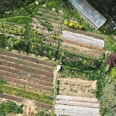 Un estudi fet a Catalunya avala que l’agricultura regenerativa pot igualar la producció convecional