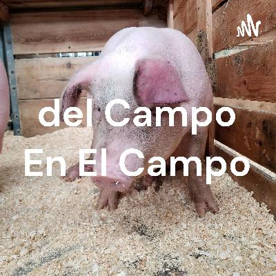 del Campo en el campo con Juan