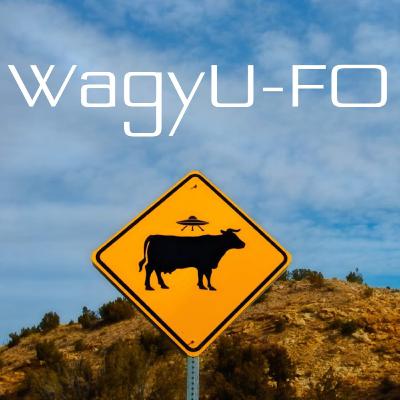 I'm Sorry If I Scared You Season 2 Episode 3: WagyU-FO
