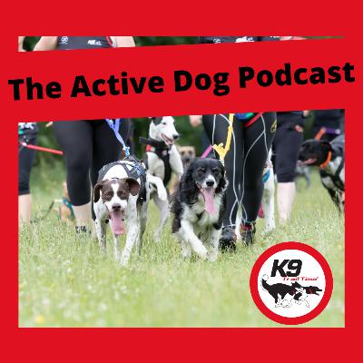 Episode 3: What makes the best canicross dog