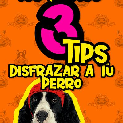 Cap38/ Disfrazar A Tu Perro / Especial Halloween