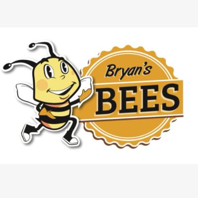 Bryan the Bee's-ness Man
