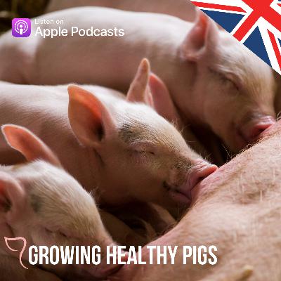 Adapting to changing consumer demands