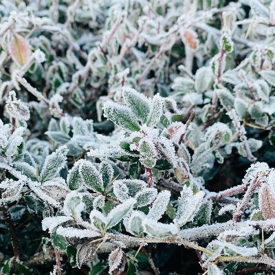 2. Rauhnacht: Februar 2. Rauhnacht: Februar