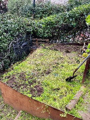 An Opening of the Raw Self