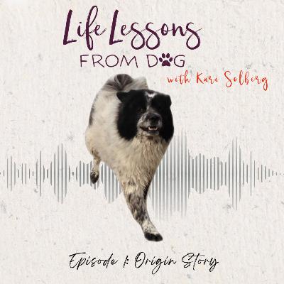 Origin Story: One Dog, One Lesson, One Life Changed