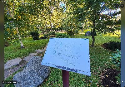 #37 ミートボールフォーザピープル（ゲスト：ごっちさん 後編）