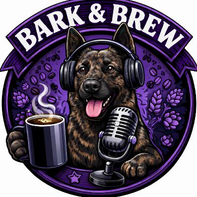 3C Podcast - Welcome to the Chaos