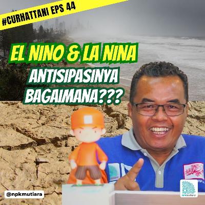 El Nino Dan La Nina, Cara Antisipasi Cuaca Ekstrem Di Industri Pertanian | CurHatTani #44