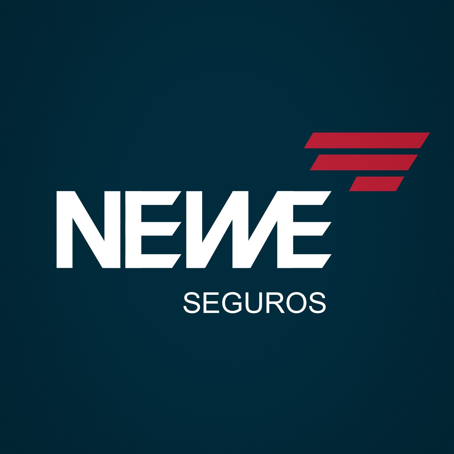 NEWE SEGUROS
