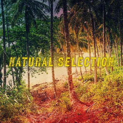 THIS CAN'T BE HAPPENING