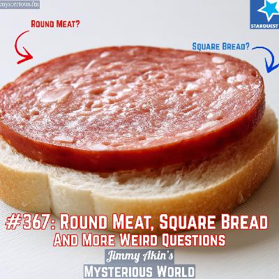 Round Meat? Square Bread? And More Weird Questions