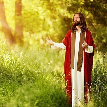 Antonio Gomes - Salmos e meditações bíblicas