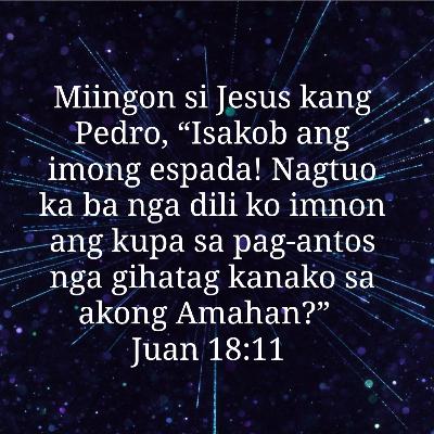 Juan Kapitulo 18 Ang Kupa sa Pag-antos