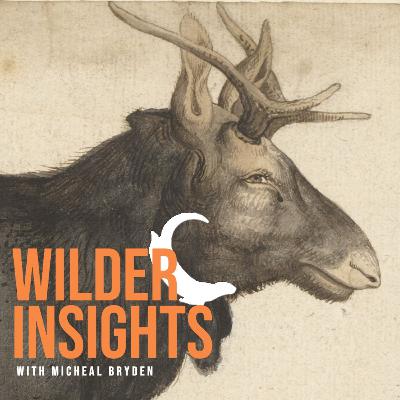 Stop the Spray and the Natural Regrowth of Aspen in BC's Cut Blocks with James Steidle and Hengda Liu| Ep 04