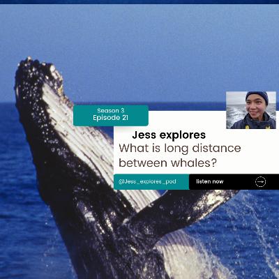 Long distance Long distance