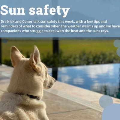 Sun safety