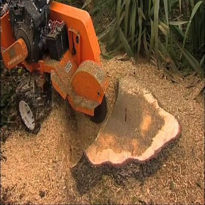 stump grinding near me stump grinding near me