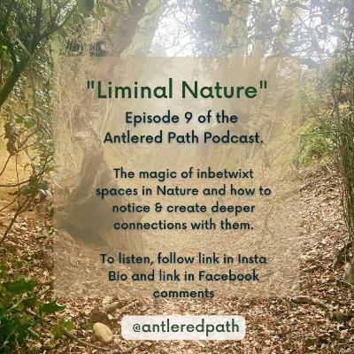 Episode 9 - Liminal Nature
