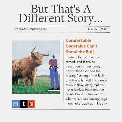 Headlines! Comfortable Constable Can't Stand the Bull Headlines! Comfortable Constable Can't Stand the Bull