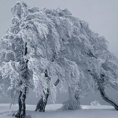 Wind Through The Keyhole (Part 1)- Starkblast Wind Through The Keyhole (Part 1)- Starkblast