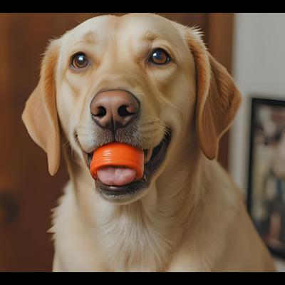 Why Texas Dog Owners Are Turning to Joint Health Supplements