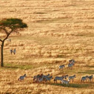 Best Places to Go in Africa in 2026