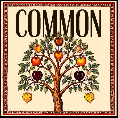 What Really Matters: Becoming a New Creation