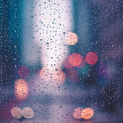 晚安小队｜但愿别就那样枯萎了