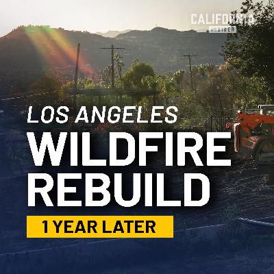 Where the Palisades Stand One Year After the Fires | Builder-Side Panel
