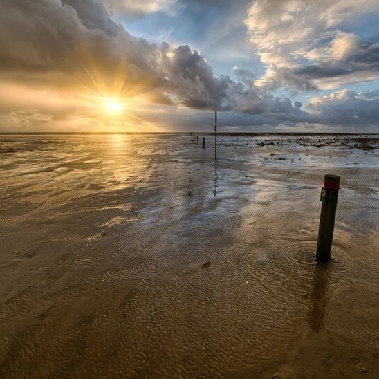 2024 U.S. Election Reflection