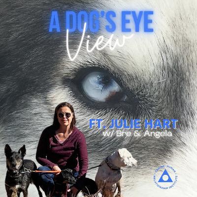 EPISODE 3. We are Enough w/ Julie Hart