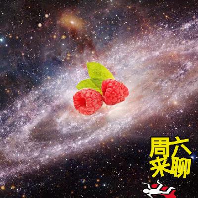 柒拾叁 - 宇宙，蟑螂，和猴子