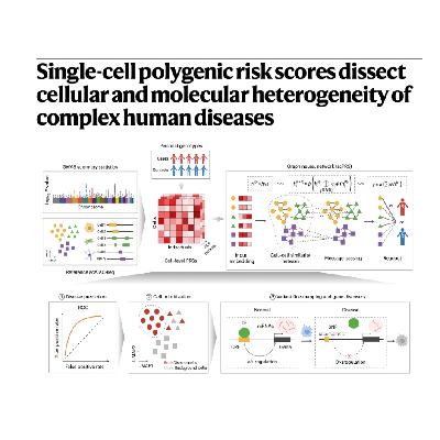 298-scPRS: Risk Scores Dissect Complex Disease Heterogeneity 298-scPRS: Risk Scores Dissect Complex Disease Heterogeneity