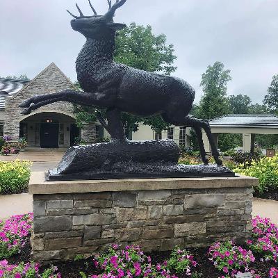 All the excitement from TPC Deere Run and the John Deere Classic was a hot topic of conversation on Fox Sports Radio Arizona this morning.