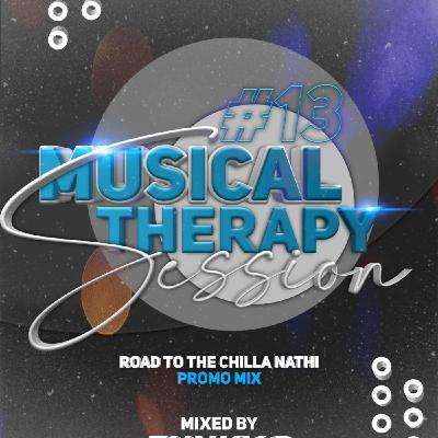 Musical Therapy session #13 (Road to the Chilla Nathi promo Mix) Mixed By Funky B