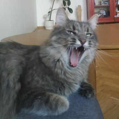 #1 квір кіно: хто герої:ні, що потрапляє на фестивалі і в прокат, і як про нього пишуть