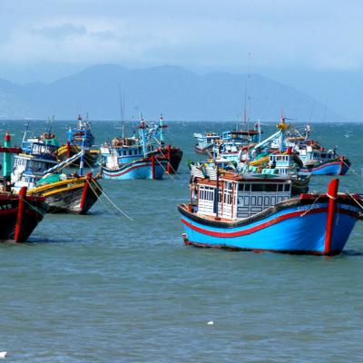Câu chuyện thời sự - Gỡ thẻ vàng thủy sản-Quyết liệt trong quản lý tàu cá Câu chuyện thời sự - Gỡ thẻ vàng thủy sản-Quyết liệt trong quản lý tàu cá