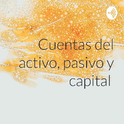 Cuentas del activo, pasivo y capital