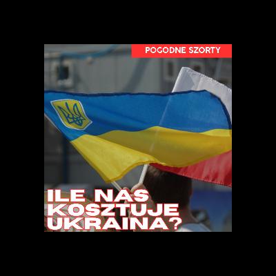 Ile nas kosztowało utrzymywanie Ukrainy i Ukraińców? | Pogodne Szorty #252
