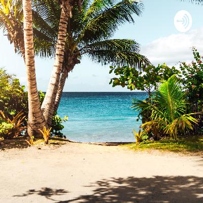 F.I.R.E Movement  (Trailer)