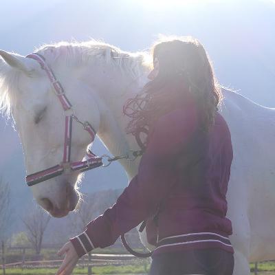 A Horse's Fears A Horse's Fears