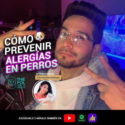 Alergia en Perros / Cómo prevenir y tratar