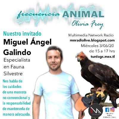 FRECUENCIA ANIMAL 8 CON OLIVIA FREY, INVITADO MVZ MIGUEL ÁNGEL GALINDO ESPECIALISTA EN FAUNA SILVESTRE