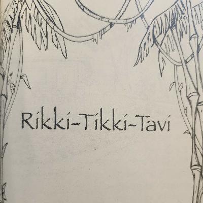 Rikki-Tikki-Tavi, Part 1