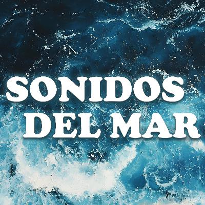 Playa Serena con Olas Suaves y Cielo Azul