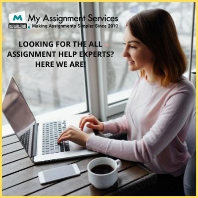 Looking For The All Assignment Help Experts? Here We Are!