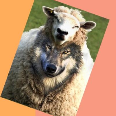 Profetas Fakes I Fake Gospel